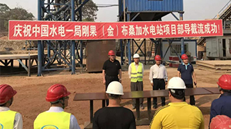 助力一帶一路，剛果（金）布桑加水電站項(xiàng)目過(guò)電壓抑制柜順利交貨